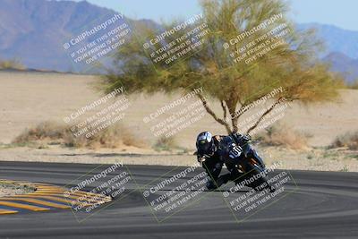 media/Feb-04-2023-SoCal Trackdays (Sat) [[8a776bf2c3]]/Turn 4 (Tree of Life 2pm)/